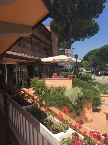 Φωτογραφία από το άλμπουμ του Hotel Riva dei Cavalleggeri σε Marina di Bibbona