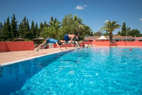 2 personnes plongent dans une piscine dans l'établissement Camping maeva Escapades Les Abricotiers, à Argelès-sur-Mer