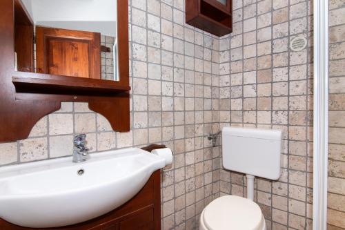a bathroom with a sink and a toilet at Apartments Valentinus 1800 in Sežana