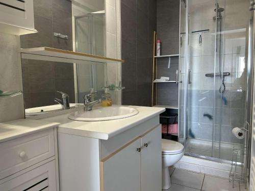 une salle de bain avec un lavabo, une douche et des toilettes dans l'établissement SP480-192 Maison 2 pièces mezz 5 couchages SAINT PIERRE LA MER, à Saint Pierre La Mer