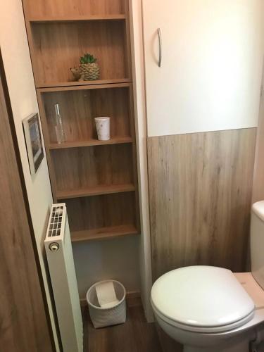 a bathroom with a white toilet and wooden walls at Badgers nestled in a cozy corner of the park in Wadebridge