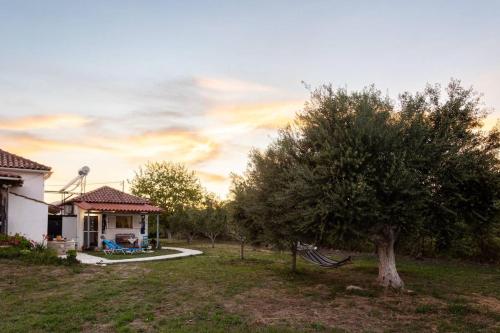 Κήπος έξω από το Petalidi Sunny Home One