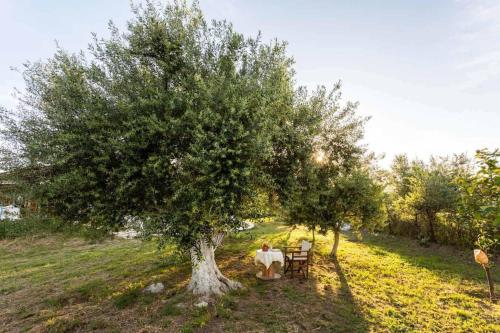 Κήπος έξω από το Petalidi Sunny Home One