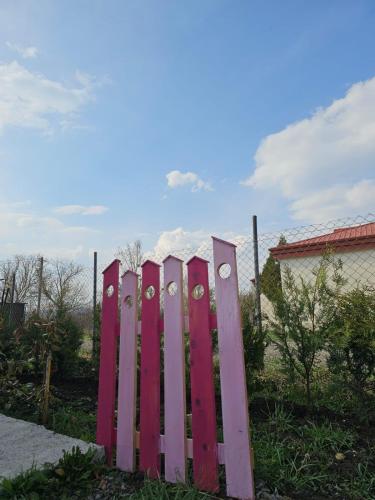 Taman di luar Twins Bazaleti & თვინს ბაზალეთი