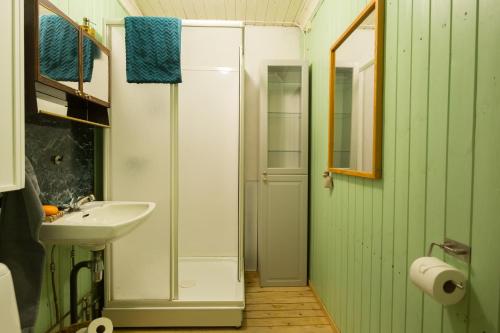 LøkenExperience Jotunheimen from Vevstogo - sauna with a view and eco living in an old school building的绿色浴室设有水槽和淋浴
