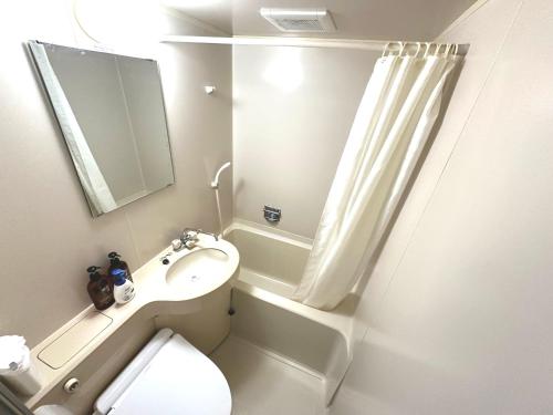 a bathroom with a sink and a toilet and a mirror at Windy hill 森の宿 in Yamanakako