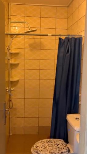 un bagno con doccia e tenda da doccia blu di Sipim aéroport a Abidjan