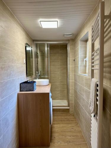 une salle de bain avec un lavabo et une douche dans l'établissement Le Cosy - 2 à 4 personnes - Proche Gare, à Nancy
