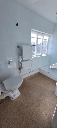 a bathroom with a toilet and a sink at Earsham Street House in Bungay