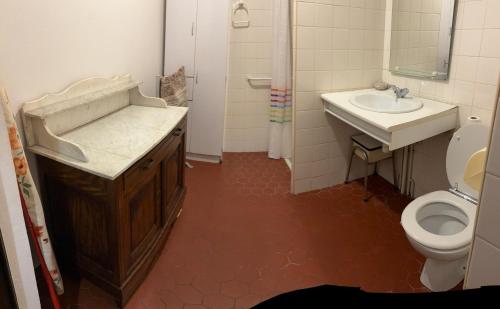 une salle de bain avec un lavabo et des toilettes dans l'établissement T1 charme Landais à la ferme, à Uchacq-et-Parentis