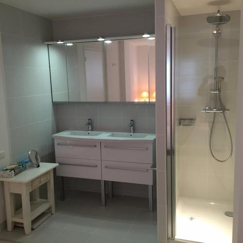 une salle de bain avec un lavabo, une douche et un miroir dans l'établissement High Standing App , Sea front, à Gassin