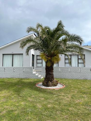a palm tree in front of a house at Tassies in Gansbaai