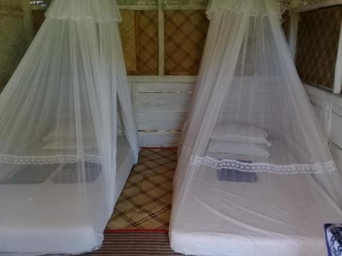 two beds with mosquito nets in a room at Tado Homestay in Limbung