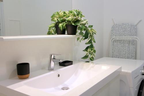 La salle de bains est pourvue d'un lavabo et de 2 plantes en pot. dans l'établissement MAGE2 - Apartment 4ppl Serris Disneyland, à Serris