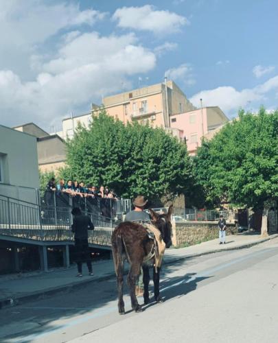 Άλλα ζώα σε αυτό το bed & breakfast ή στη γύρω περιοχή