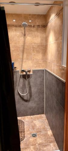 a shower with a shower head in a bathroom at Centraal appartement met tuintje, vlak bij zee in De Panne
