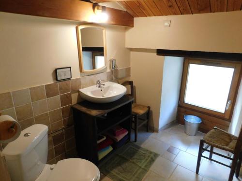une salle de bain avec un lavabo et des toilettes dans l'établissement la ferme de theolier, à Pailharès