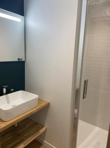 une salle de bain avec un lavabo blanc et une douche dans l'établissement Saint Jorioz, Cozy appartement tout près du lac, à Saint-Jorioz