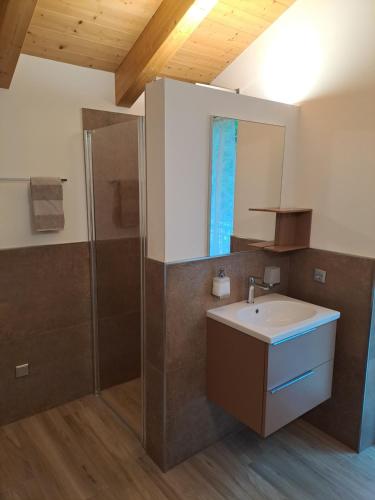 a bathroom with a sink and a shower at Ciasa Erica - Val di Non in Predaia