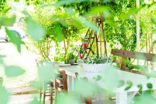 a table with plants on it in a garden at La Grande Via, ospitalità in Maremma in Montemerano