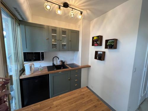 une cuisine avec des armoires vertes et un évier dans l'établissement Studio Cannes Californie, à Cannes