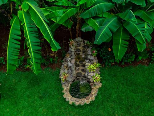 a gardenificationificialificialificialificialificialificialificialificialificialificialificialificialificial at Shose Farmhouse Chalets & Campsite in Moshi