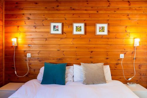 a bedroom with wooden walls and a bed with pillows at Cabaña junto al Río y Montañas I AndBnB in Canillo