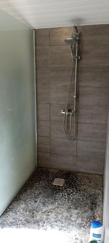 une douche dans une salle de bain avec un sol carrelé dans l'établissement Chambre - Saint-jean d'ataux, à Laveyssière