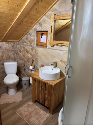 a bathroom with a sink and a toilet at Guesthouse Peto in Novi Kneževac