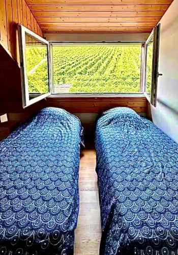 a bedroom with two beds and a window with a vineyard at Lavaux nice place in Swiss French part in Rivaz