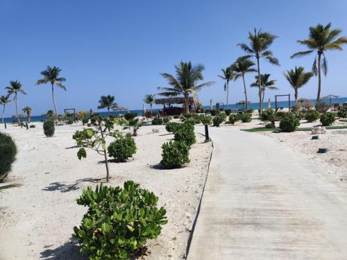 a path on the beach with palm trees and the ocean at Two bedroom Villa with Private Pool, Hawana Salalah in Wādī Khasbar