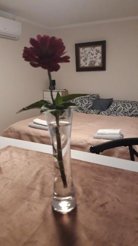 a vase with a red flower sitting on a table at Kamilla Apartmanház Somogyudvarhely OLYANMINTOTTHONCSAKMÉGJOBB in Somogyudvarhely
