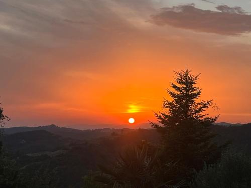 a sunset with a tree in the foreground at Monte Paradiso Agriturismo in Pietralunga