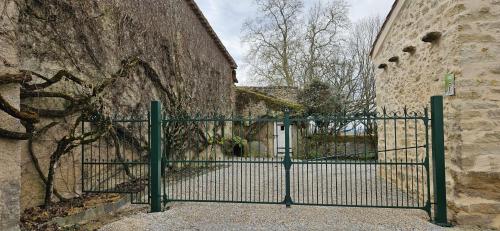 La surprise des jumelles