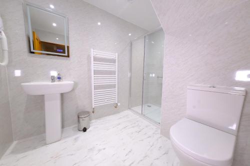 un bagno con wc, lavandino e doccia di Suilven Cottage a Tain