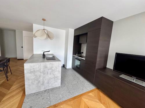 - une cuisine avec évier et une télévision dans la chambre dans l'établissement Charme 30min Champs-Elysées, à Clamart