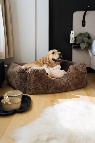 a dog laying in a dog bed on the floor at Boutique Hotel Azur in De Haan