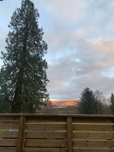 a wooden fence with a tree in the background at The Woodhouse Cabin 8 in Moffat