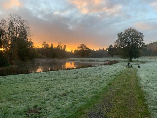 a person walking a dog in a field next to a river at The Woodhouse Cabin 8 in Moffat