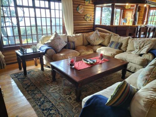 a living room with couches and a coffee table at Bon-up-a-Tree log house with jacuzzi ocean views, south coast Kwa Zulu Natal in Port Edward