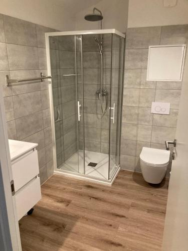 une salle de bain avec douche et toilettes dans l'établissement Cala Rossa, Lecci - villa 5 minutes de la très belle plage de Cala Rossa, à Lecci