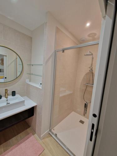 une salle de bain avec douche et lavabo dans l'établissement Elegance Showroom - Appartement en Hyper Centre, à Bourges