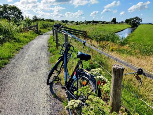 a bike parked on a dirt road next to a fence at Park De Driesprong in Nieuwveen