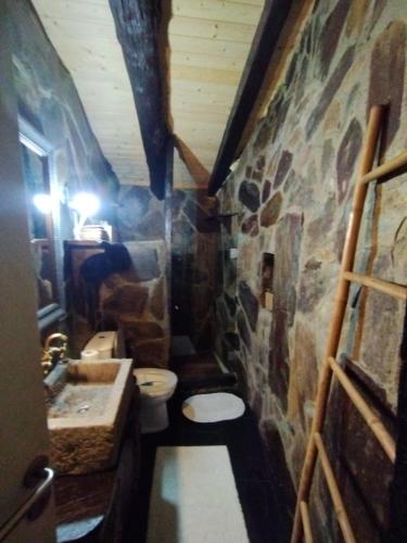 a stone bathroom with a toilet and a sink at Refúgio do Fujaco in São Pedro do Sul