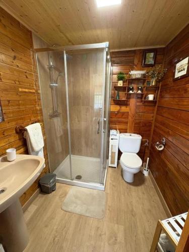 a bathroom with a shower and a toilet and a sink at La CABAÑA in Candeleda