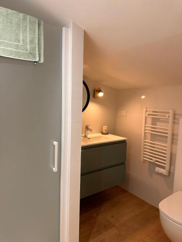 une salle de bain avec un lavabo et des toilettes dans l'établissement La Grange d 'Arçais-sans linge de maison, à Arçais
