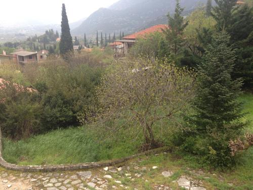 a tree in the middle of a field at 260m2 Unique mountain house in Lilea Parnasos in Lílaia