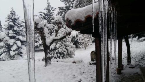 a snow covered yard with trees and a fire hydrant at 260m2 Unique mountain house in Lilea Parnasos in Lílaia