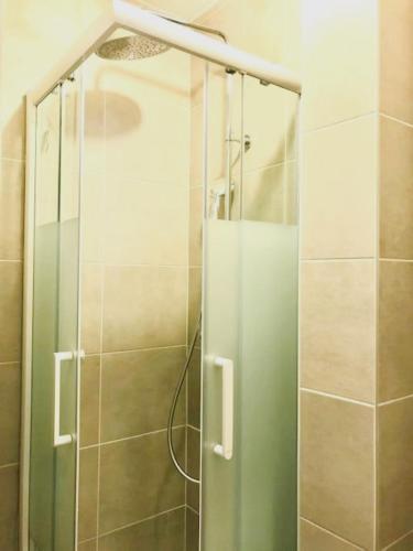 une douche avec une porte vitrée dans une salle de bain dans l'établissement RM-1 - Appartement F2 au 1er étage pour 1-3 pers, à Mulhouse
