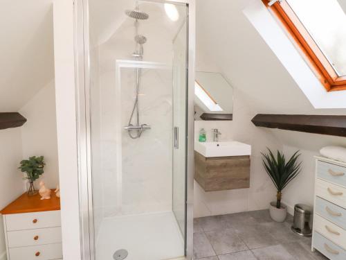 a bathroom with a shower and a sink at Old Stable Cottage in Alnmouth